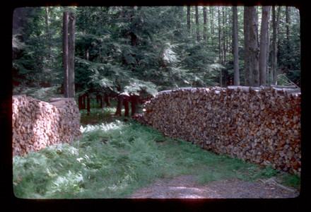 Slide899.jpg